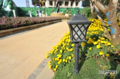 ʽ·ÿ춼ڵ·ԾȺ˵Ļع顣