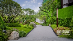 Ӫ԰ʵⰻȻĲƺľ֦Ҷï·ڹ԰